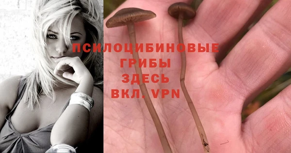 мдпв Богданович