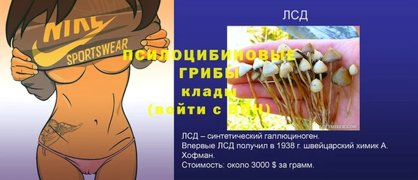 Альфа ПВП Богородск