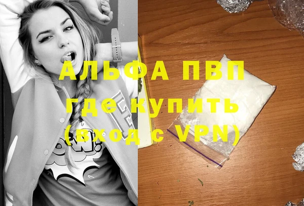 мдпв Богданович