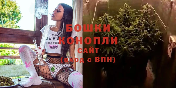 Альфа ПВП Богородск