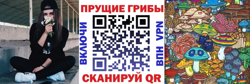 Галлюциногенные грибы Cubensis  Мурманск 