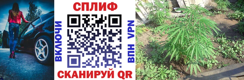 МАРИХУАНА ГИДРОПОН  kraken зеркало  Мурманск 